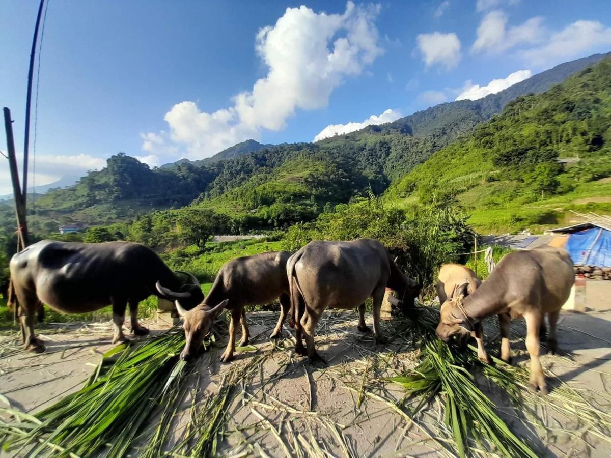 Ha Giang Donkey Hostel Luaran gambar